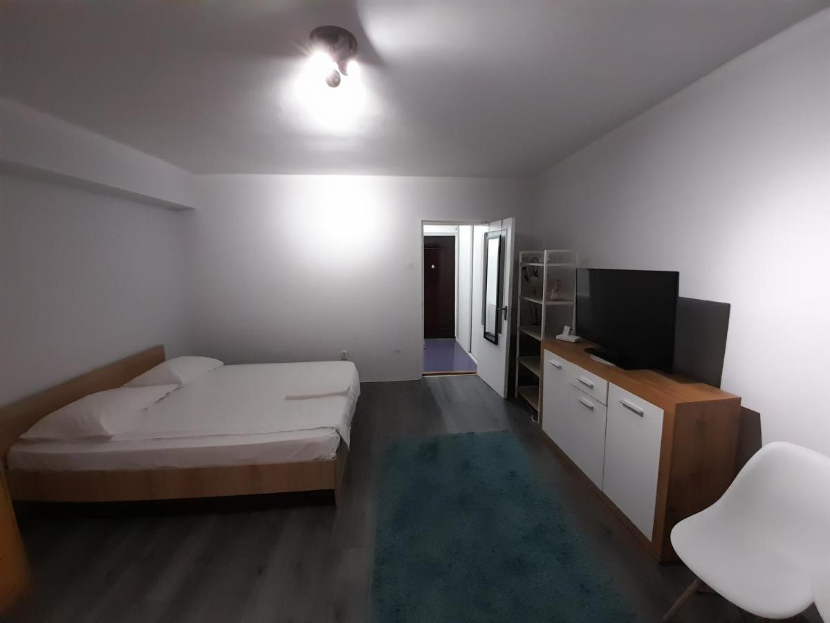 Bega Circumvalatiunii 1 Room Apartment Timişoara Eksteriør bilde